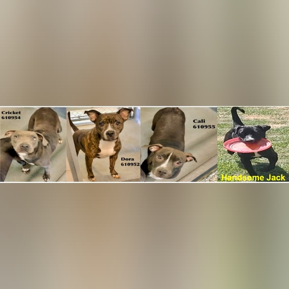 Pristine New York & Company black pinstriped blazer/jacket size 4! - Picture 6 of 6